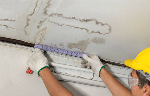 Reliable Basement Water Removal contractor in Barnardsville, NC by Water Damage Irwin